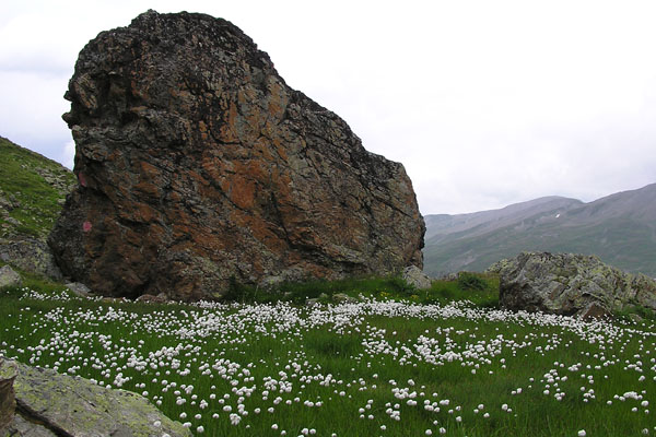 P8170261