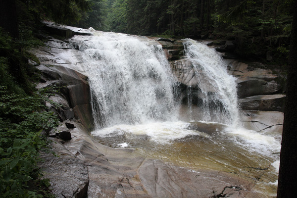2009_07_04_5491