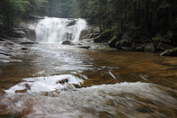 2009_07_04_5493