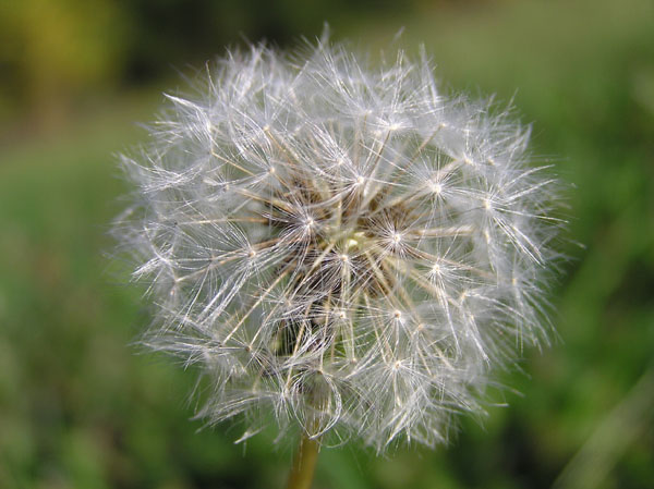 P9150160