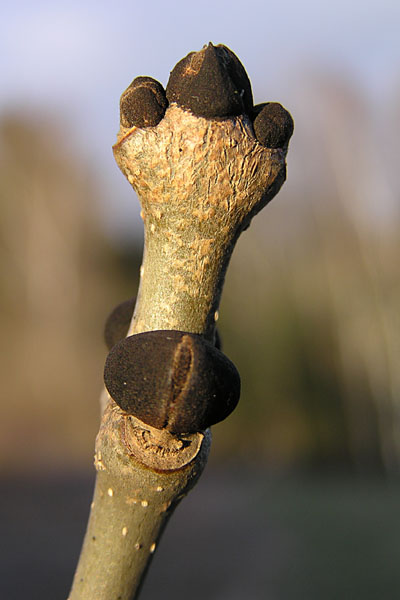P3220349