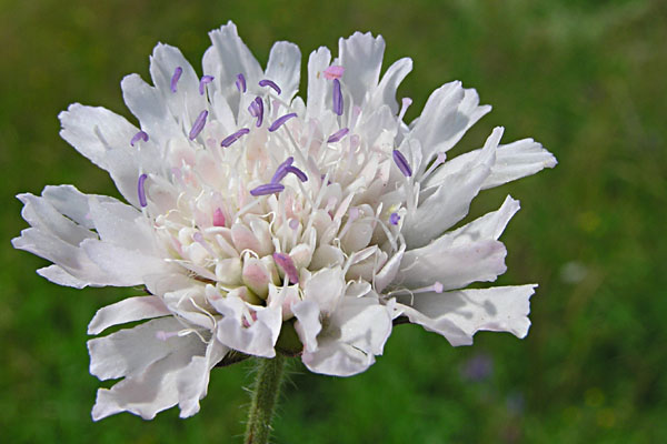 P7060356