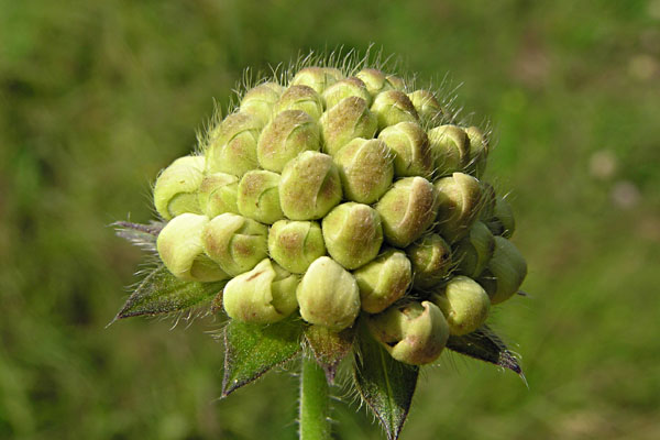 P7060379