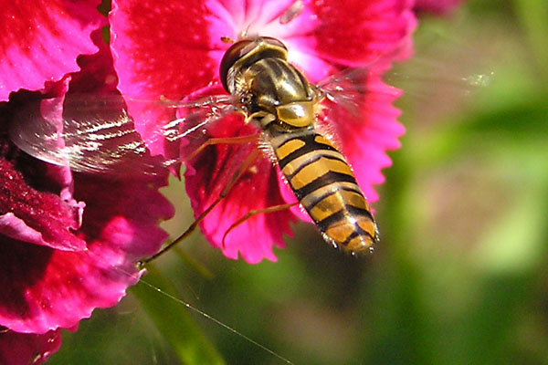 P7170777_2