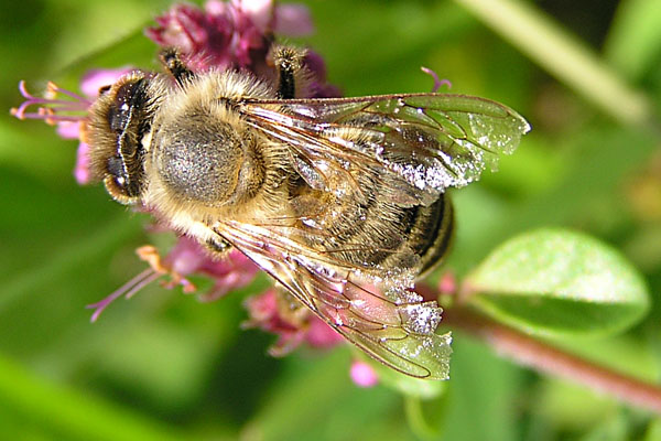 P7280052_2