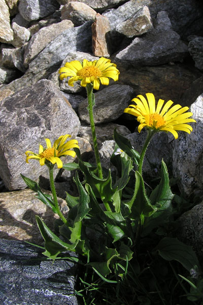 P8150206_2