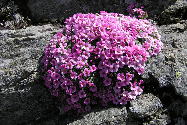 P8160238