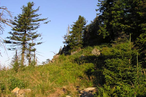 P8020225