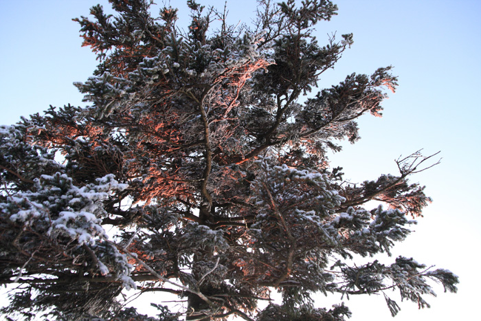 2009_01_03_3428