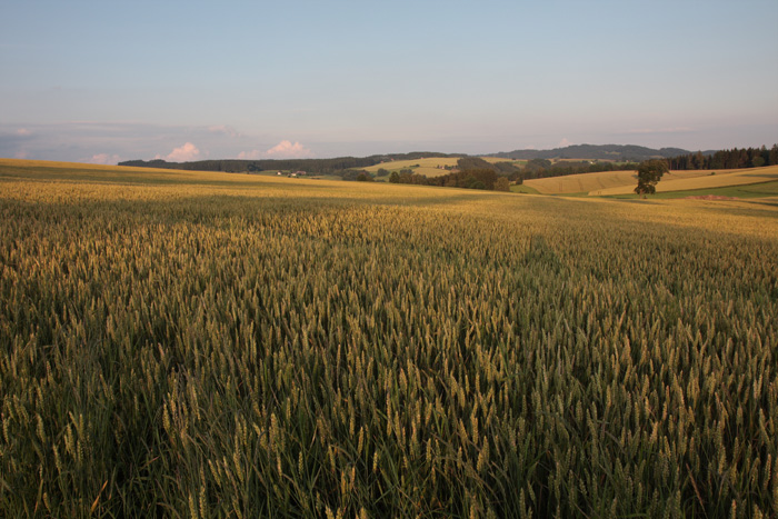 2009_07_11_5800