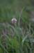 2009_07_08_5775