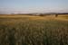 2009_07_11_5800