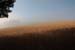 2009_07_29_5856